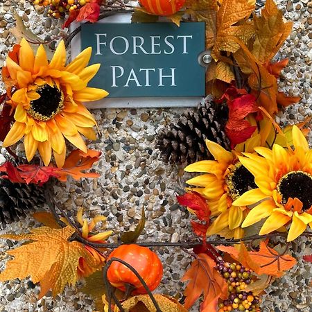 Forest Path Luxury Studio Apartment With Large Bedroom Bathroom And Sauna Sleeps Up To 4 Ballynahinch Екстериор снимка